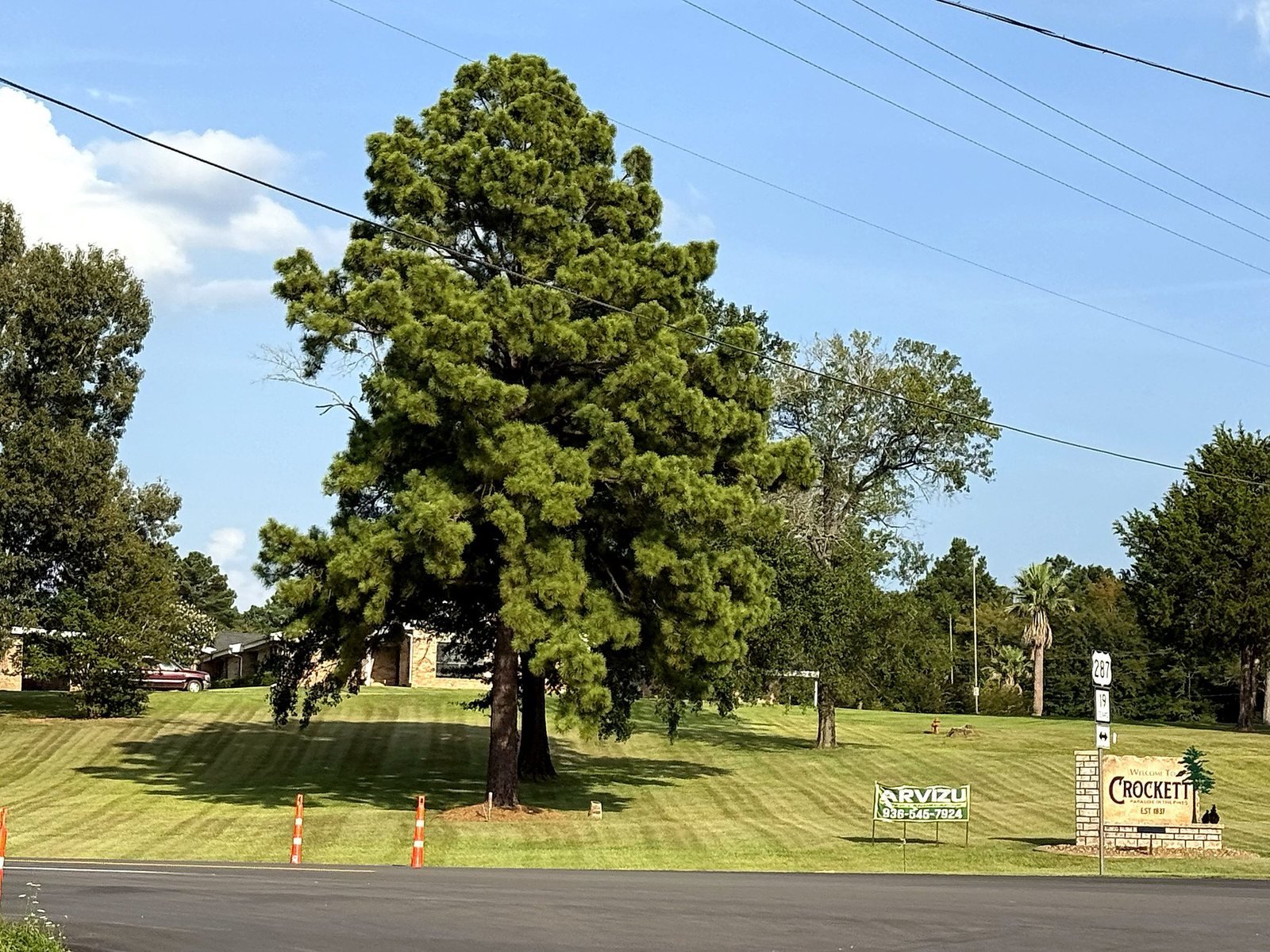 Welcome to Crockett sign on a maintained lawn with a large shade tree