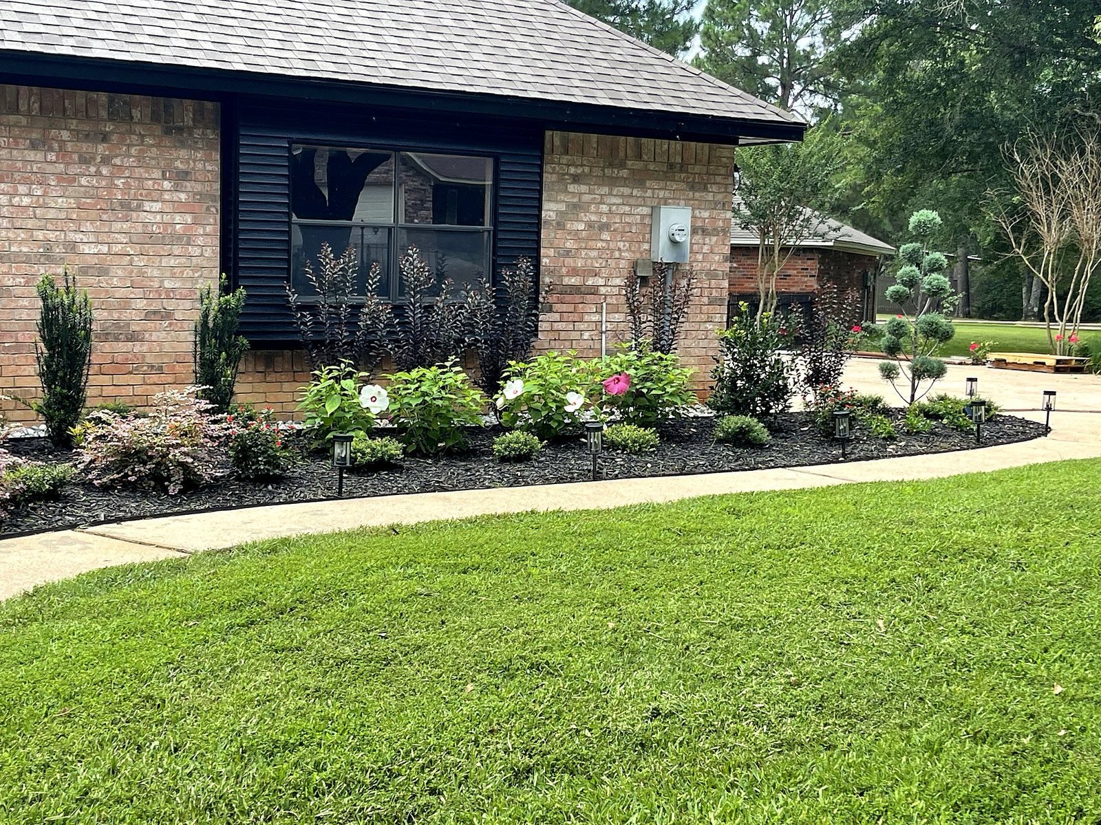 Newly installed landscape bed with fresh mulch and mixed plantings at a brick home