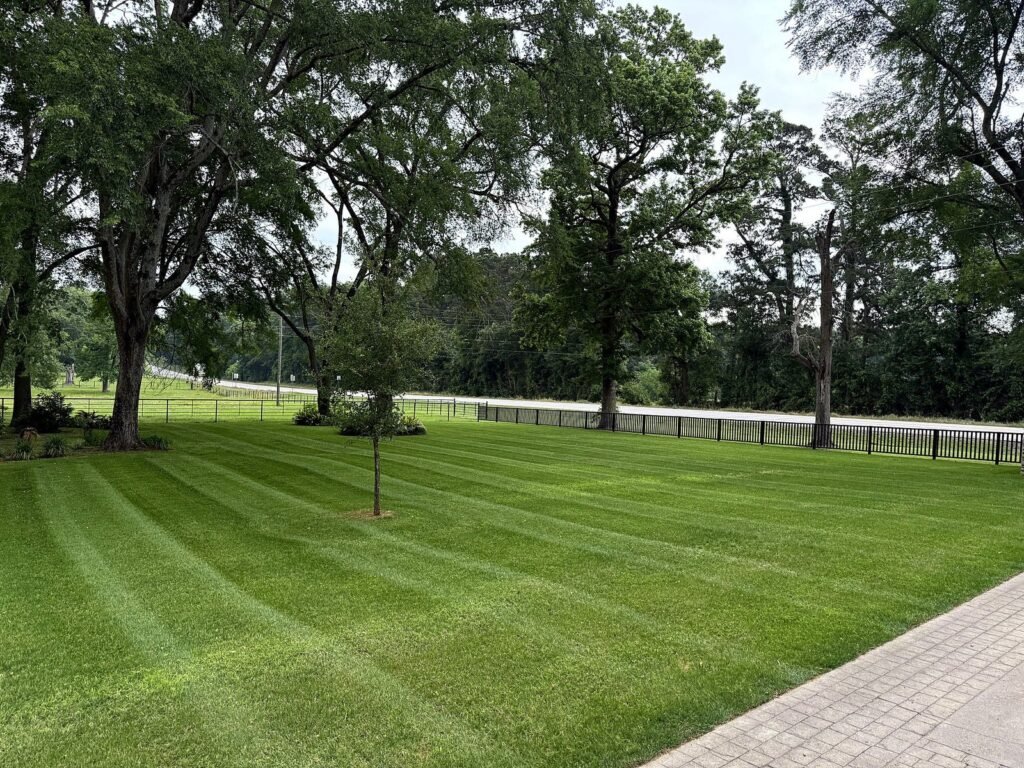 Wide lawn mowed in alternating stripes toward a black rail fence with mature oak trees