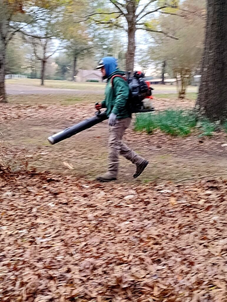 Arvizu Crew member clearing heavy fall leaf litter with a backpack blower