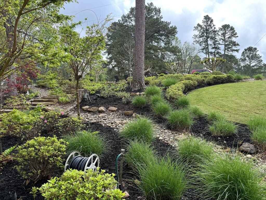 Sloped landscape with ornamental grasses, shaped shrubs and clean mulched bed lines