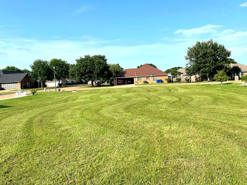 Wide neighbourhood lawn cut in sweeping curved mowing stripes